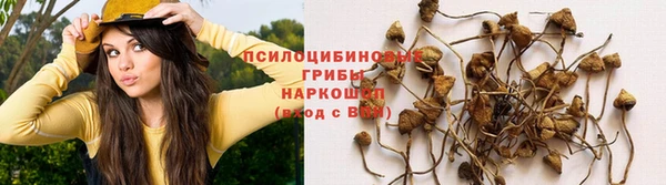 амфетамин Алексин
