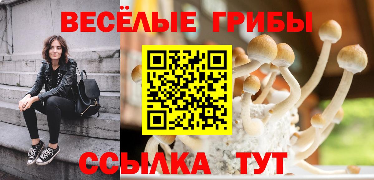 Крымск  Галлюциногенные грибы прущие грибы  Вход с VPN 